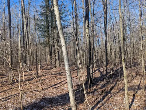 00 East Road, Update MI 48457 photo 4
