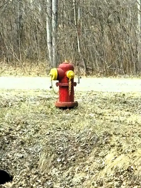 V/L W Prairie Road, Midland MI 48640 photo 5