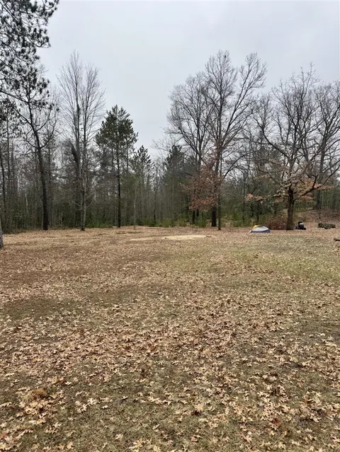 10365 Cadillac Drive, Lake MI 48632-9112 photo 4