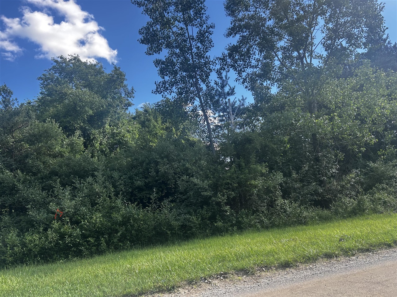 W Ranger Road, Perrinton MI 48871 photo 1