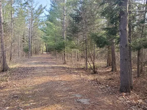 Eagles Nest Way, Gladwin MI 48624 photo 1