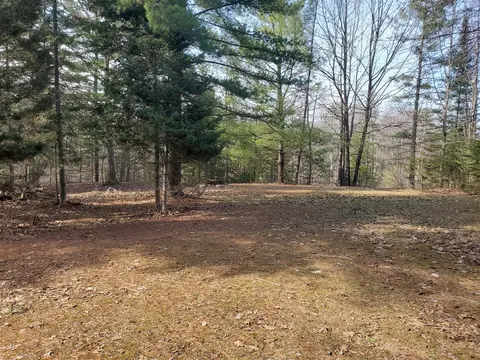 Eagles Nest Way, Gladwin MI 48624 photo 2