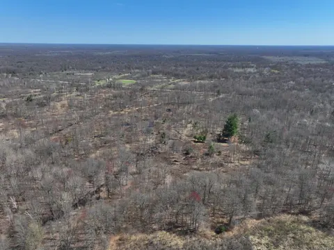 V/L P5 N Magruder Road, Coleman MI 48618 photo 5