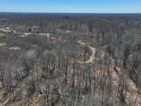 V/L 10A P3 N Magruder Road, Coleman MI 48618 photo 3
