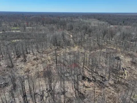 V/L 10A P3 N Magruder Road, Coleman MI 48618 photo 4