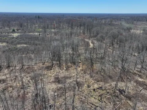 V/L 10A P3 N Magruder Road, Coleman MI 48618 photo 5