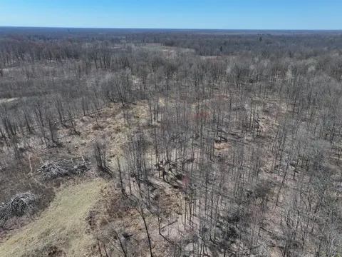 V/L 10A P2 N Magruder Road, Coleman MI 48618 photo 3