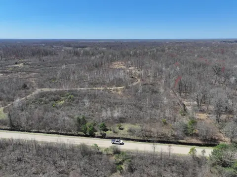 V/L 10A P1 N Magruder Road, Coleman MI 48618 photo 3
