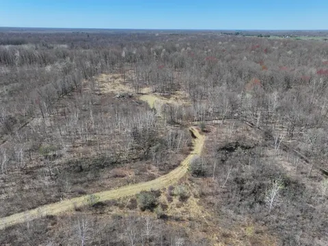 V/L 10A P1 N Magruder Road, Coleman MI 48618 photo 4