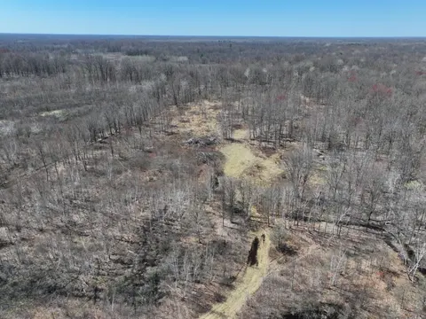 V/L 10A P1 N Magruder Road, Coleman MI 48618 photo 5