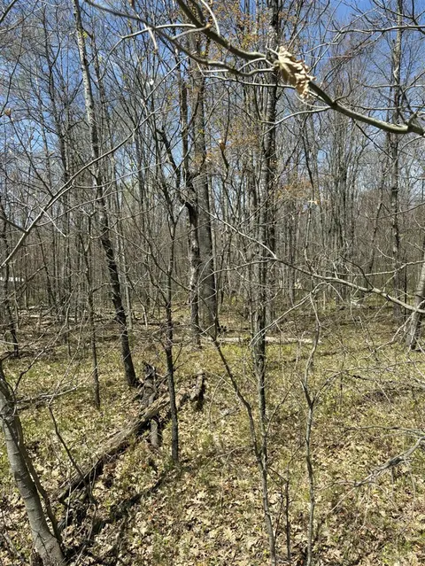 V/L Shadowbrook Drive, Lake MI 48632 photo 1