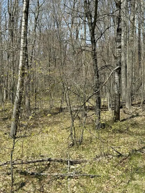 V/L Shadowbrook Drive, Lake MI 48632 photo 2