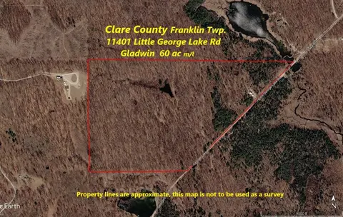 11401 Little George Lake Road, Gladwin MI 48624-8808 photo 2