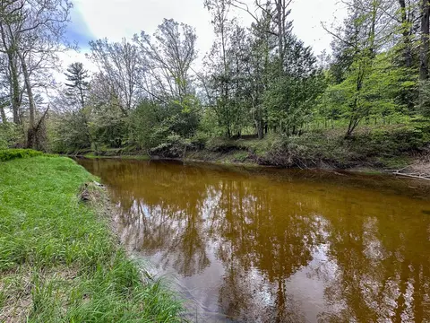 88 V/L N Bush, Coleman MI 48618 photo 2