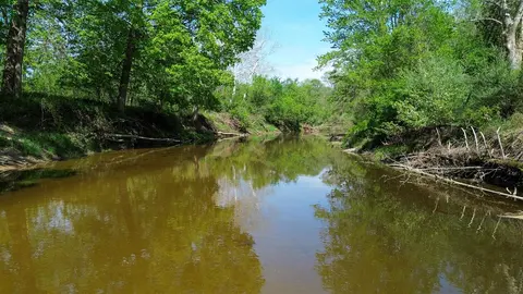 88 V/L N Bush, Coleman MI 48618 photo 5