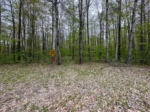 LOT 92 Doe Court, Harrison MI 48625 photo 4
