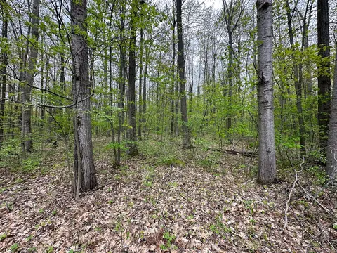 LOT 92 Doe Court, Harrison MI 48625 photo 5