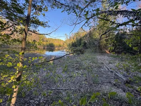 Lot 1 V/L Wildwood Road, Alger MI 48610 photo 2