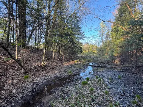 Lot 1 V/L Wildwood Road, Alger MI 48610 photo 3