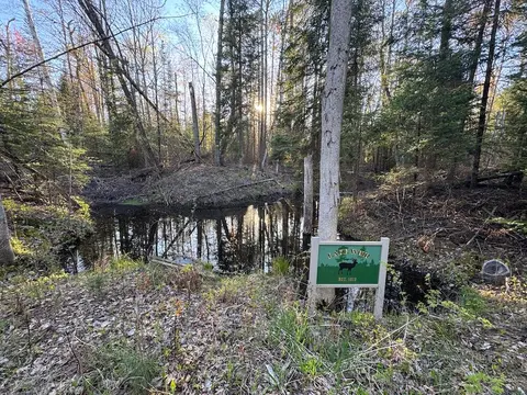 Lot 1 V/L Wildwood Road, Alger MI 48610 photo 5