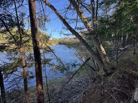 Lot 9 V/L Wildwood Road, Alger MI 48610 photo 3