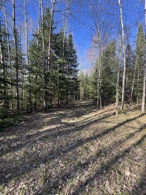Lot 9 V/L Wildwood Road, Alger MI 48610 photo 4
