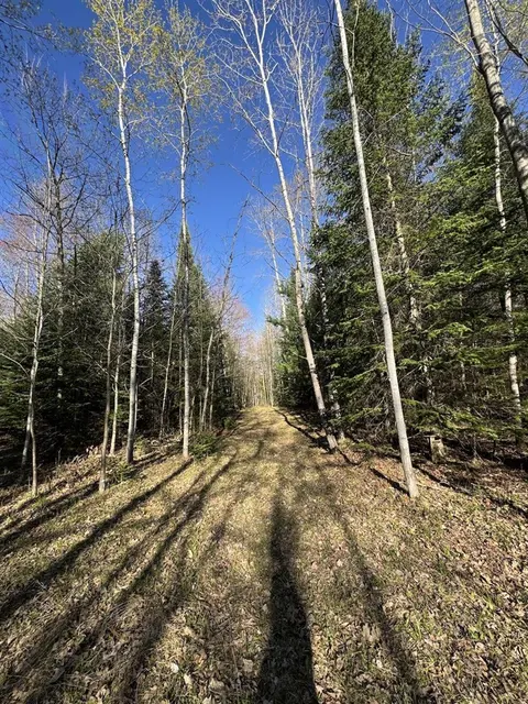 Lot 9 V/L Wildwood Road, Alger MI 48610 photo 5