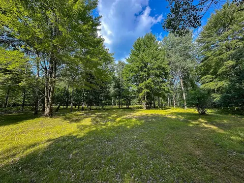 10013 E Beal City Road, Mount Pleasant MI 48858-9261 photo 5