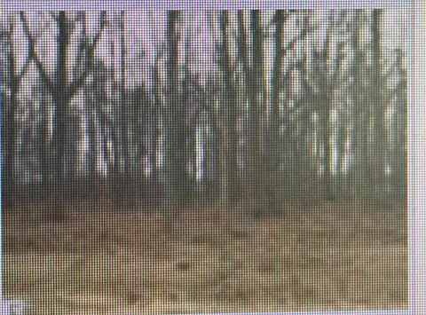 000 Ridge, Mount Pleasant MI 48858 photo 3