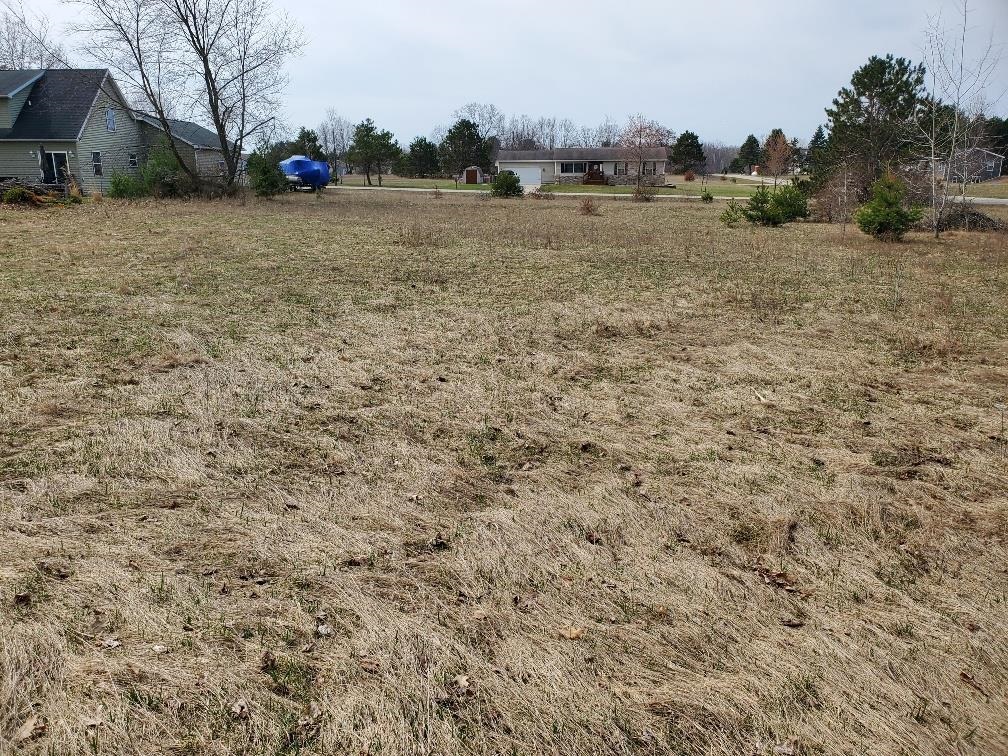 1034 Pyrenees Drive, Weidman MI 48893 photo 1