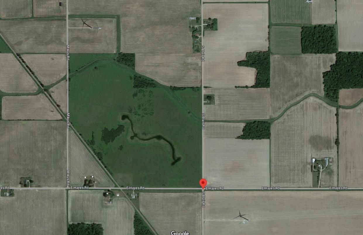 TBD S Blair Road, North Star MI 48847 photo 1