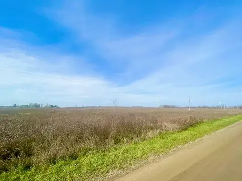 TBD S Blair Road, North Star MI 48847 photo 5