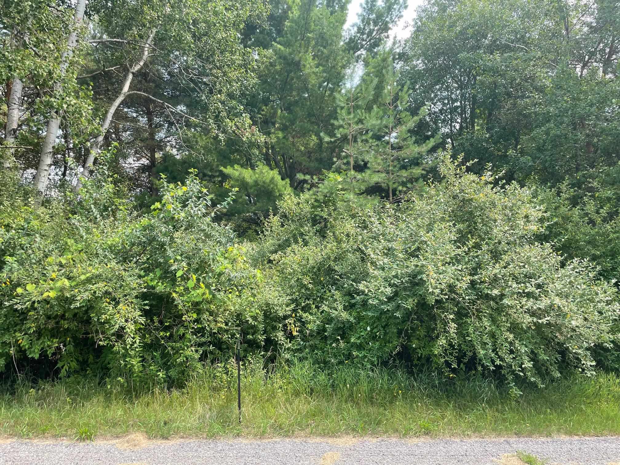 1090 Carmen Drive, Weidman MI 48893 photo 1
