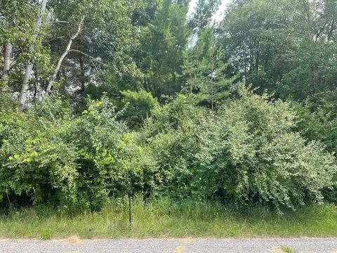 1090 Carmen Drive, Weidman MI 48893 photo 1