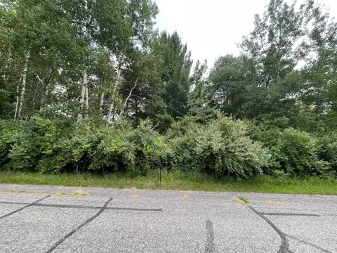 1090 Carmen Drive, Weidman MI 48893 photo 4