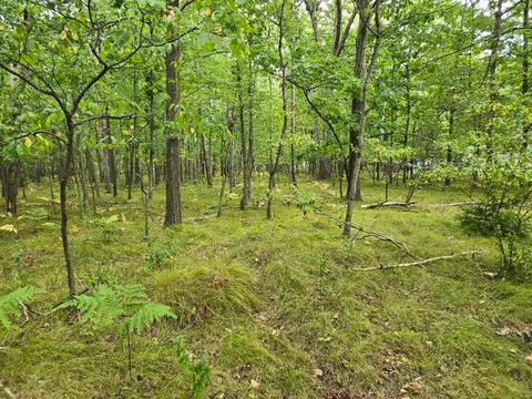 1009 Castle Drive, Lake Isabella MI 48893 photo 1