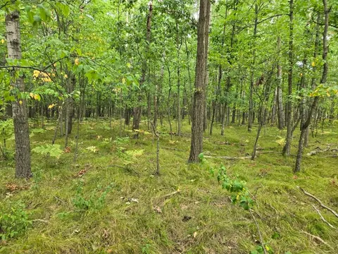 1009 Castle Drive, Lake Isabella MI 48893 photo 2
