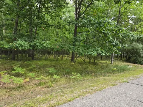 1009 Castle Drive, Lake Isabella MI 48893 photo 3