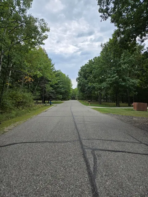 1009 Castle Drive, Lake Isabella MI 48893 photo 5