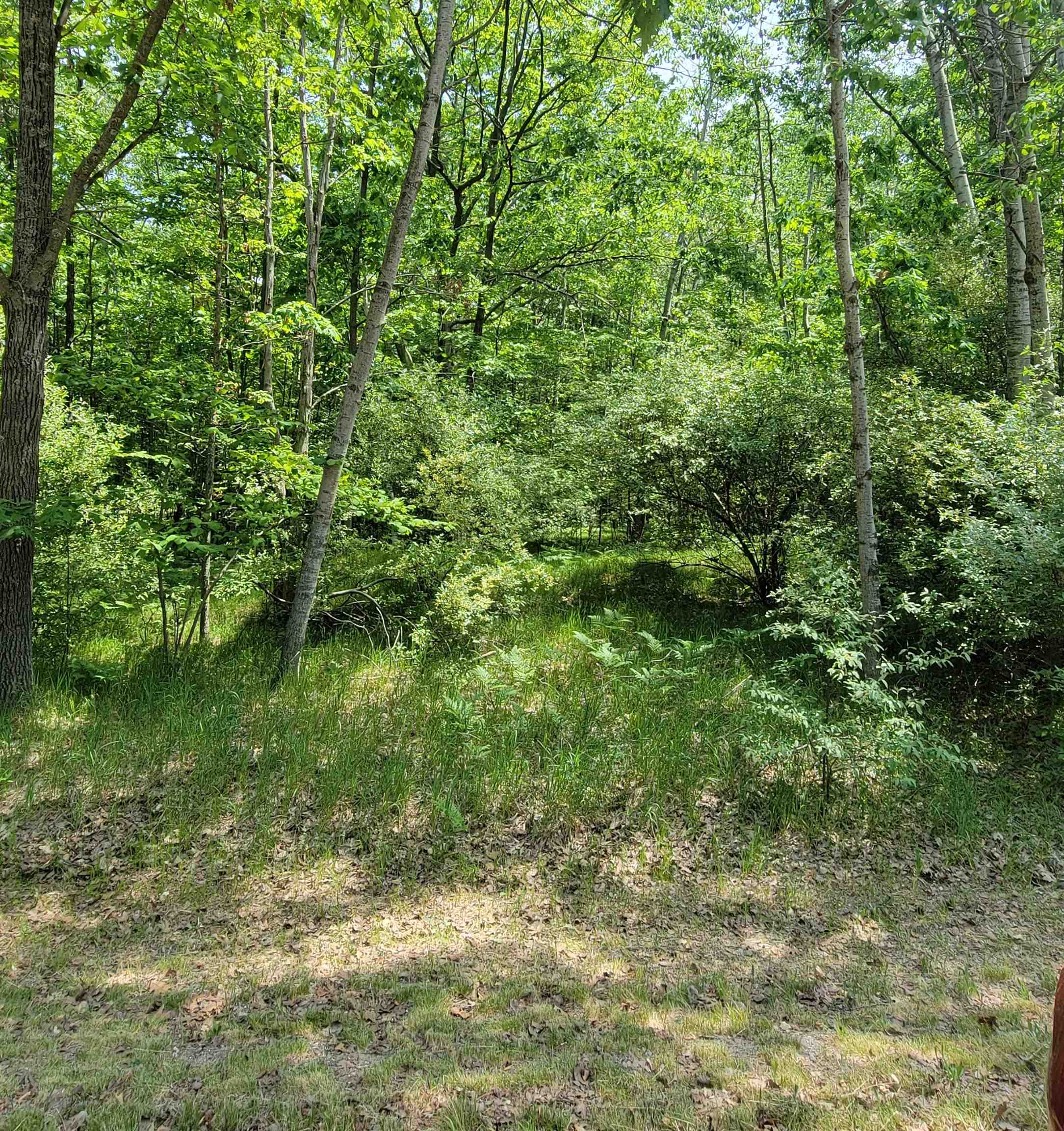 1144 Queensway Drive, Lake Isabella MI 48893 photo 1