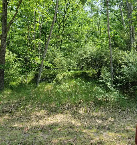 1144 Queensway Drive, Lake Isabella MI 48893 photo 1