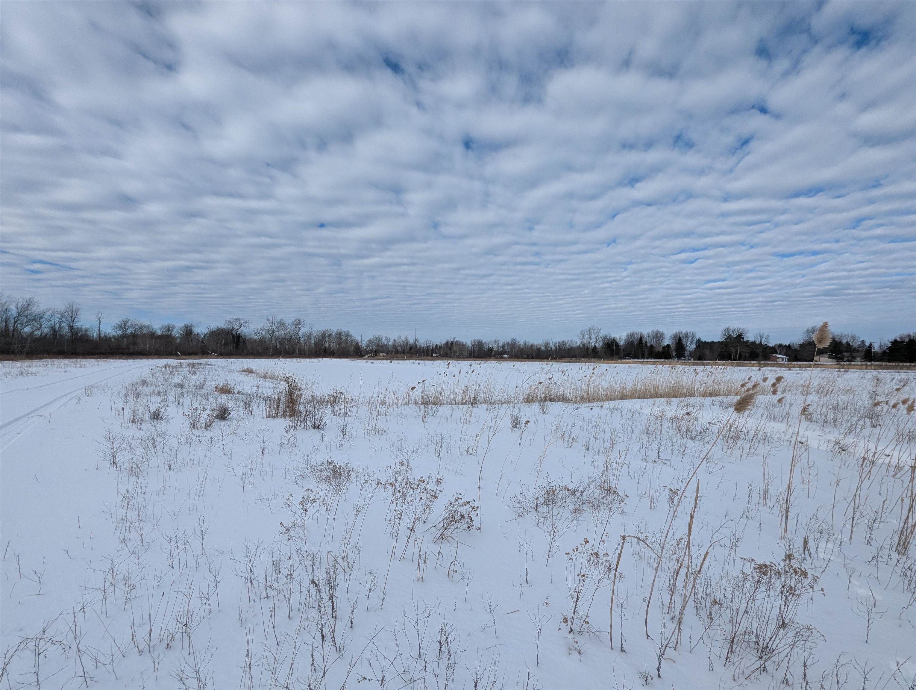 N/A Swenson Road, Au Gres MI 48703 photo 1