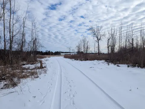 N/A Swenson Road, Au Gres MI 48703 photo 2