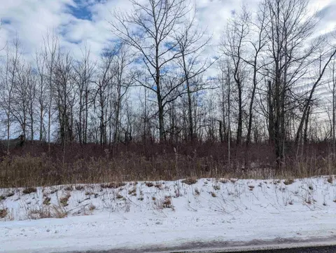 N/A Swenson Road, Au Gres MI 48703 photo 3