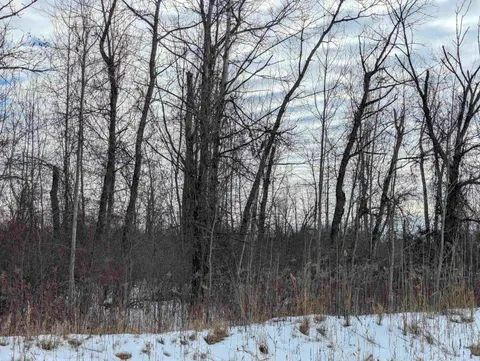 N/A Swenson Road, Au Gres MI 48703 photo 4
