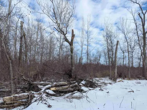 N/A Swenson Road, Au Gres MI 48703 photo 5