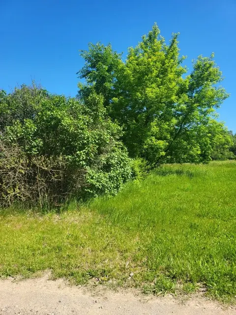 4957 E Valley Road, Mount Pleasant MI 48858 photo 5
