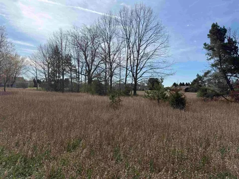 1016 Pyrenees Drive, Lake Isabella MI 48893 photo 3