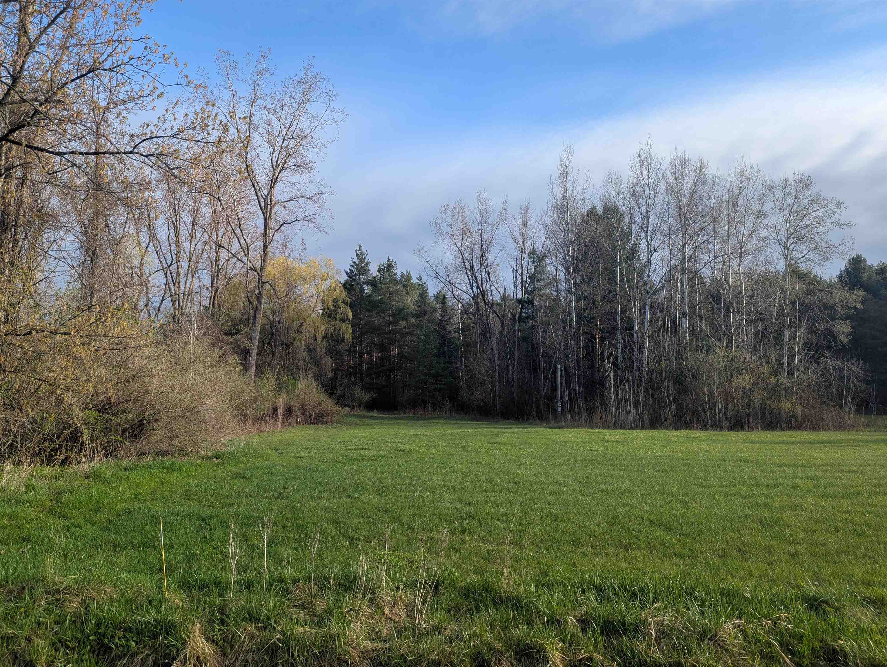 N/A Pine Street, Omer MI 48749 photo 1