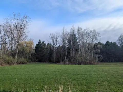 N/A Pine Street, Omer MI 48749 photo 3